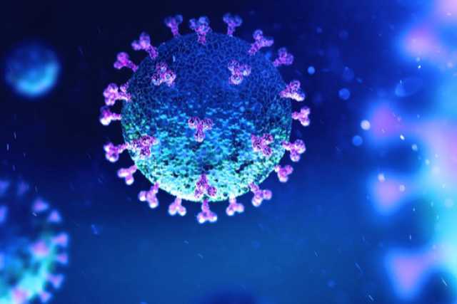 Coronavirus: in Puglia 38 nuovi casi, positivo il 2,39% dei tamponi
